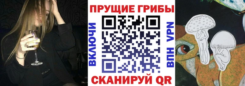 Галлюциногенные грибы Psilocybe  закладка  Шумиха 