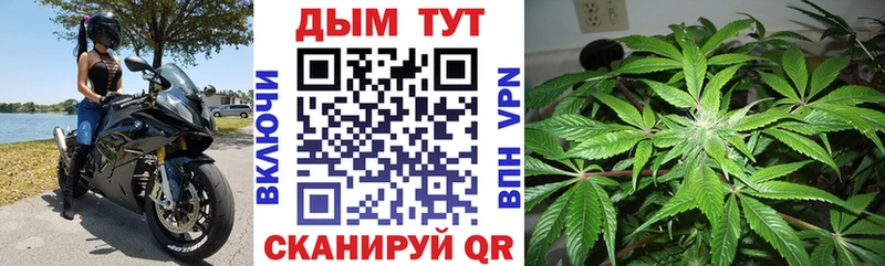 Конопля индика  Шумиха 